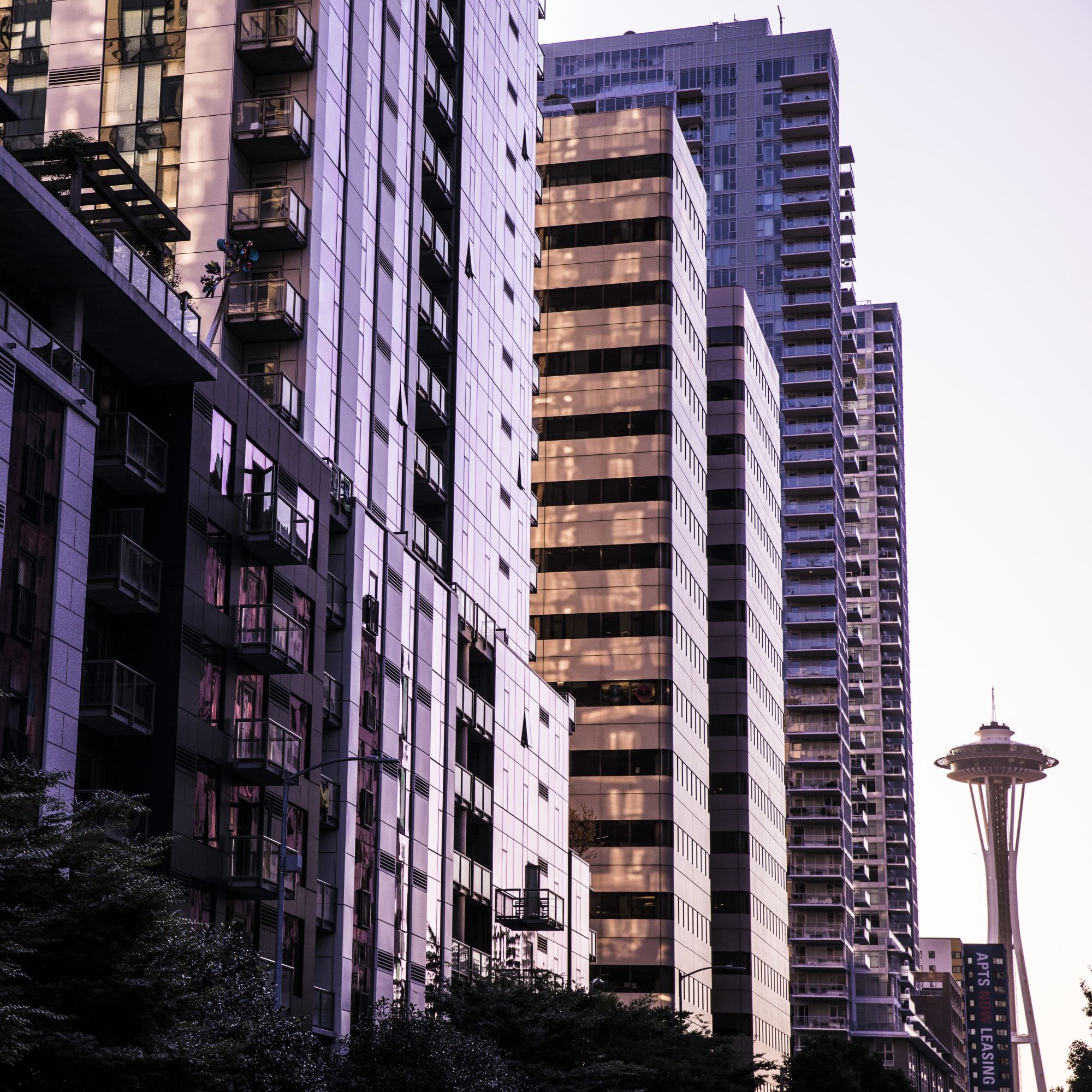 Image of the Seattle skyline looking towards the Space Needle