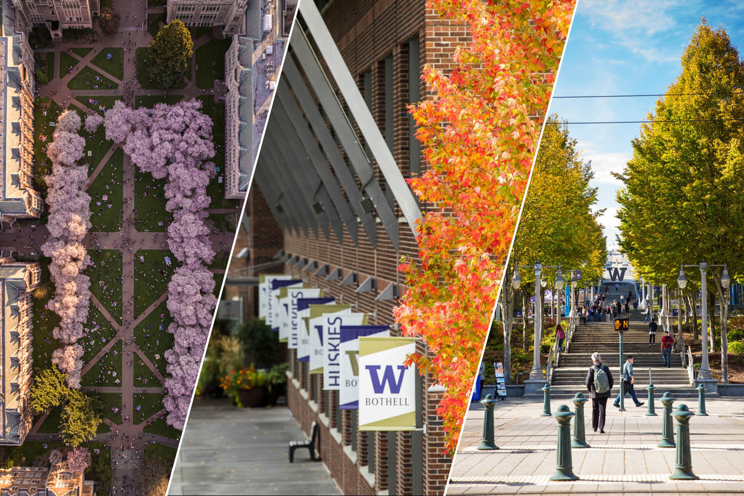 Image of the three UW campuses